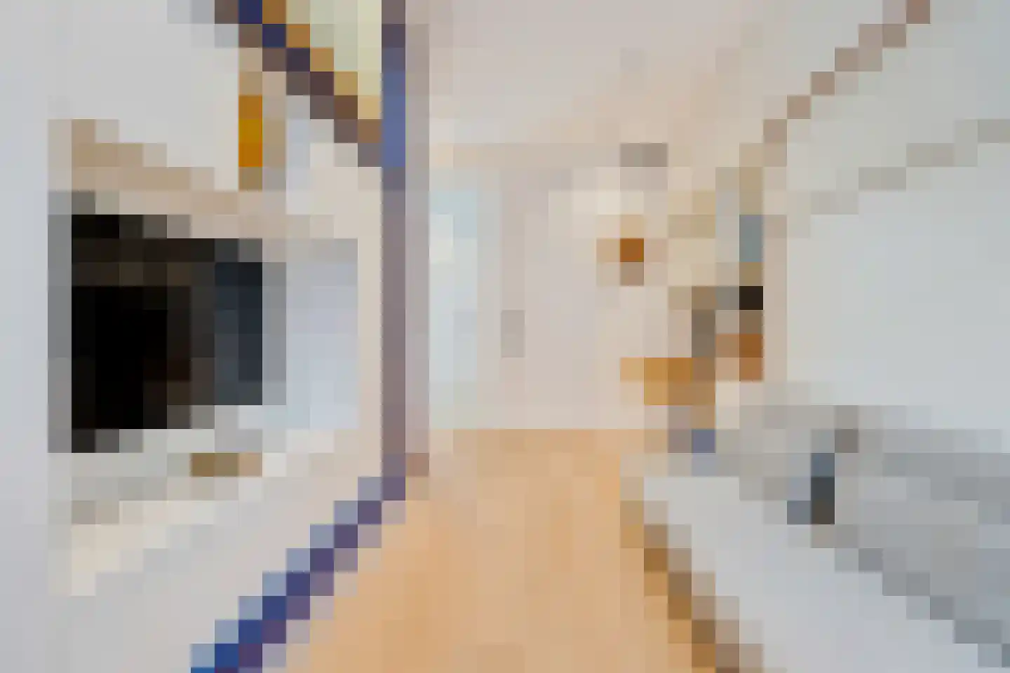 Oude Looiersstraat 89 H Amsterdam thumbnail 23