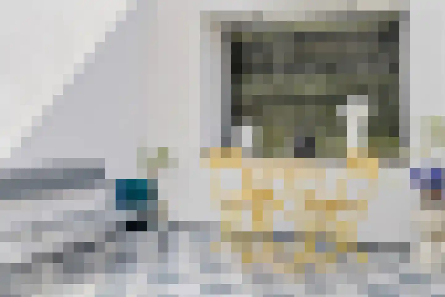 Oude Looiersstraat 89 H Amsterdam thumbnail 7
