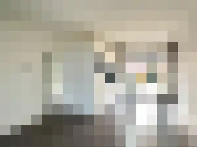 Oude Loosdrechtseweg 143 Hilversum thumbnail 11