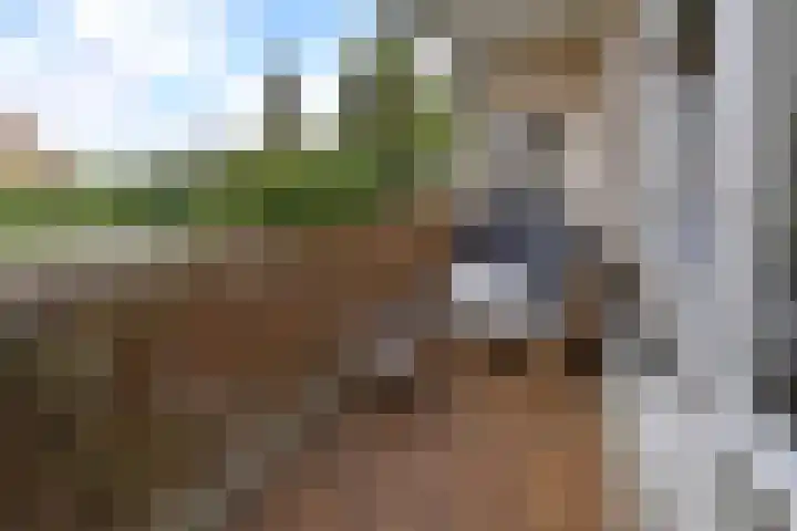 Oude Loosdrechtseweg 188 Hilversum thumbnail 7