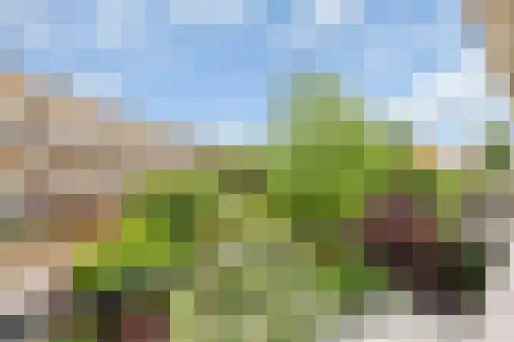 Oude Loosdrechtseweg 234 Hilversum thumbnail 16