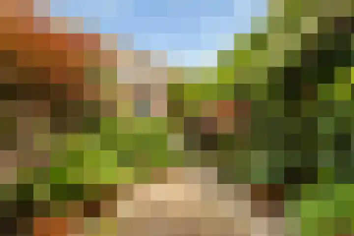 Oude Loosdrechtseweg 234 Hilversum thumbnail 25
