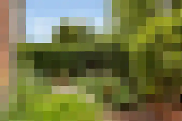 Oude Loosdrechtseweg 234 Hilversum thumbnail 27