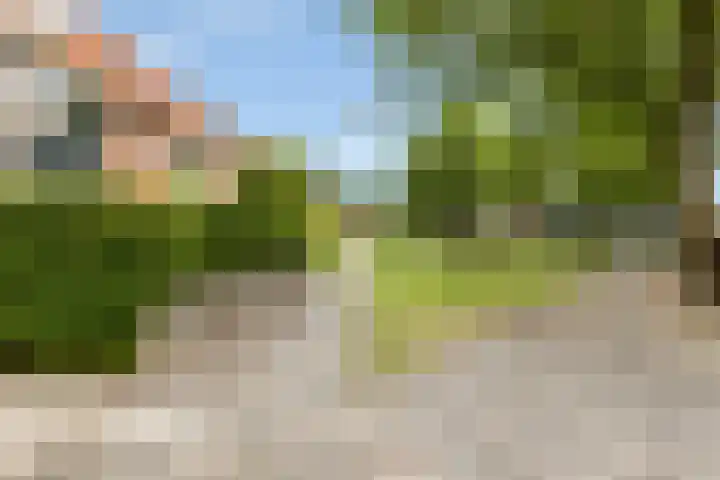 Oude Loosdrechtseweg 234 Hilversum thumbnail 29