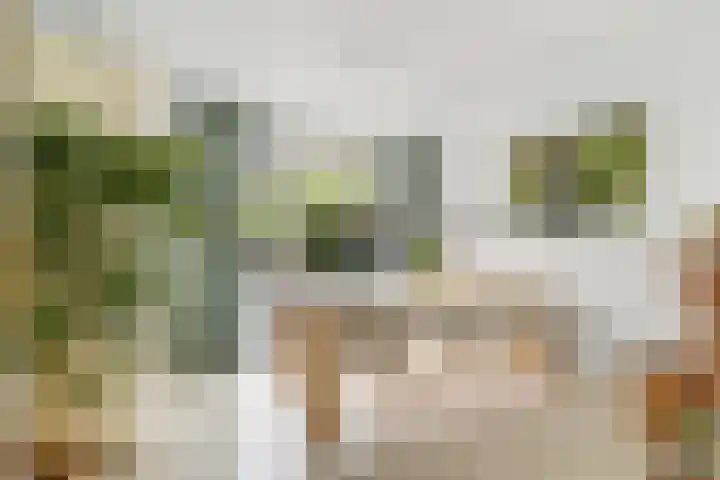 Oude Loosdrechtseweg 234 Hilversum thumbnail 8