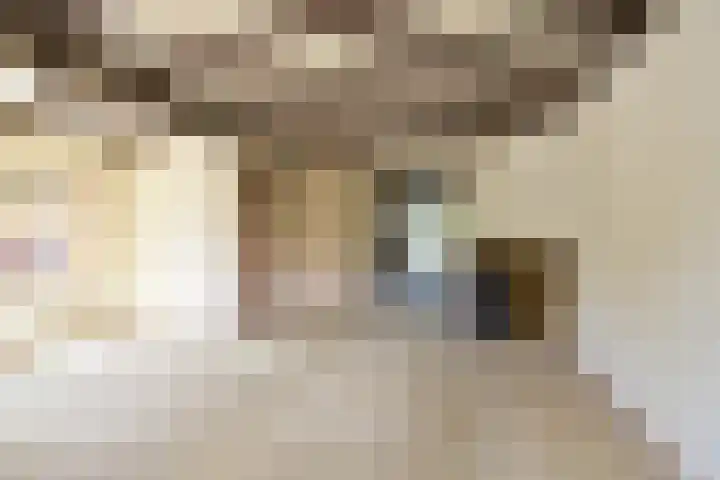 Oude Loosdrechtseweg 66 Hilversum thumbnail 10