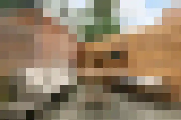 Oude Loosdrechtseweg 71 Hilversum thumbnail 31