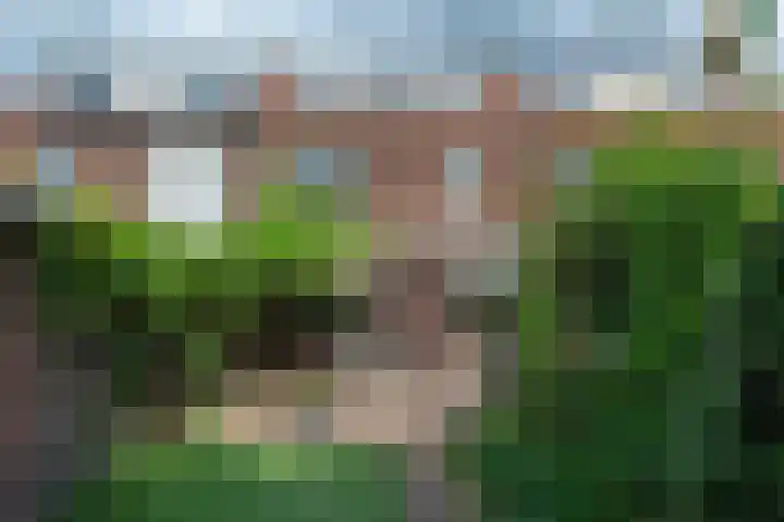 Oude Loosdrechtseweg 75 Hilversum thumbnail 36