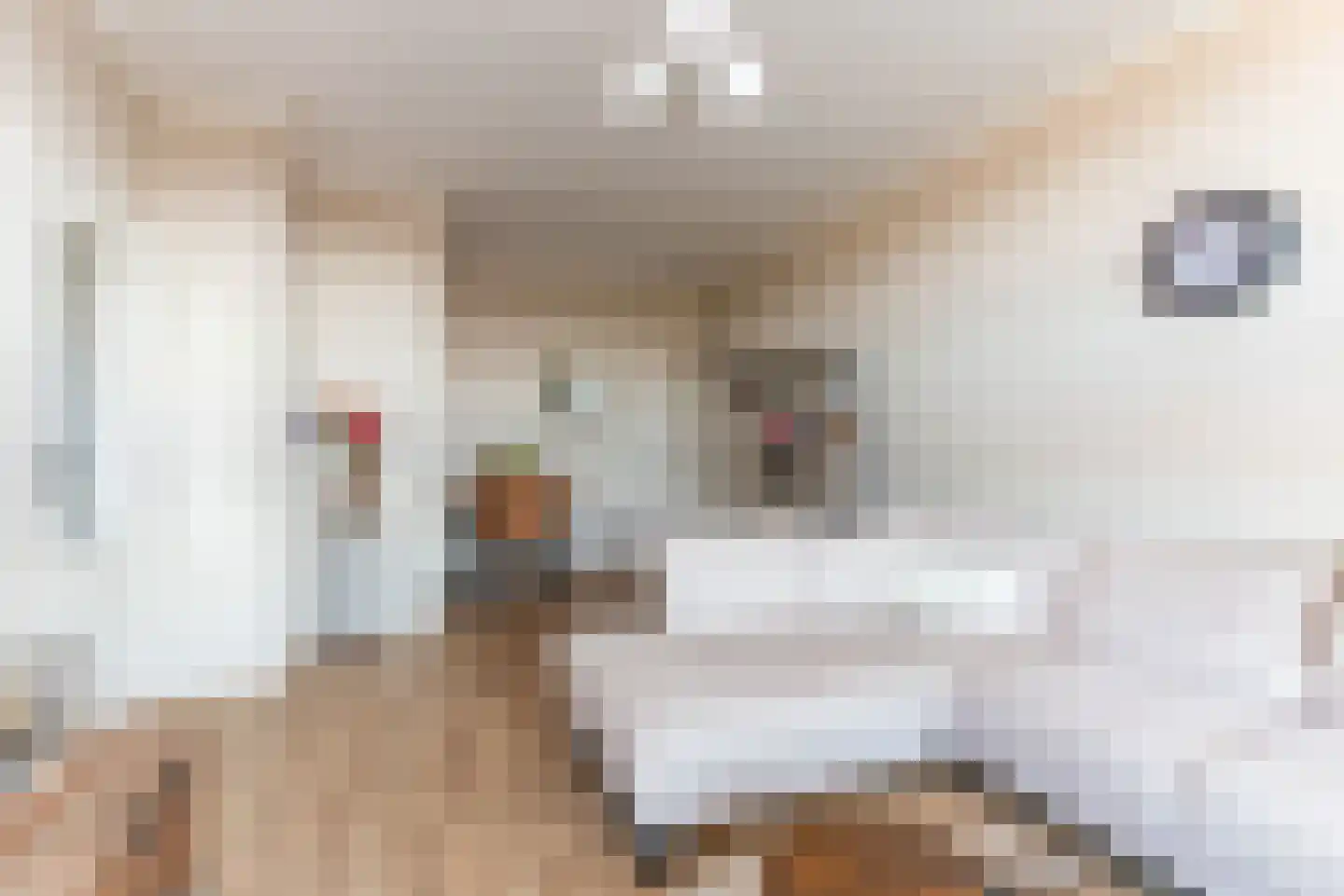 Oude Loosdrechtseweg 89 Hilversum thumbnail 6