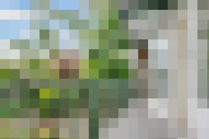 Oude Loosdrechtseweg 97 Hilversum thumbnail 10
