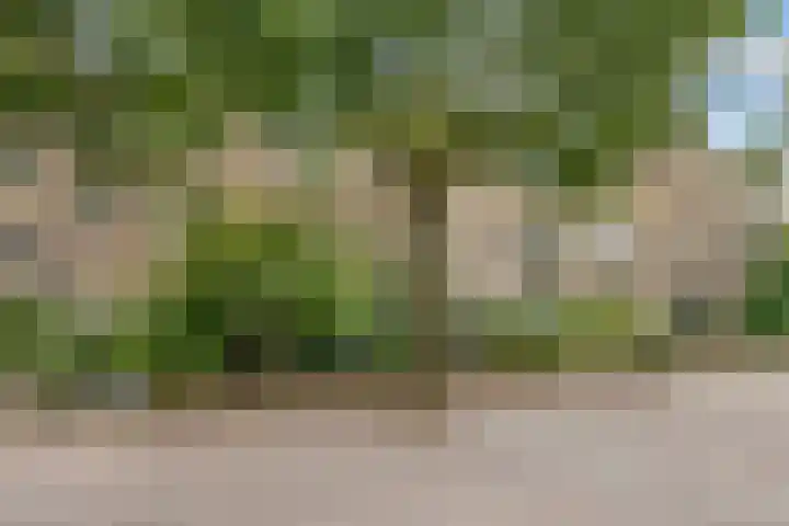 Oude Loosdrechtseweg 97 Hilversum thumbnail 33