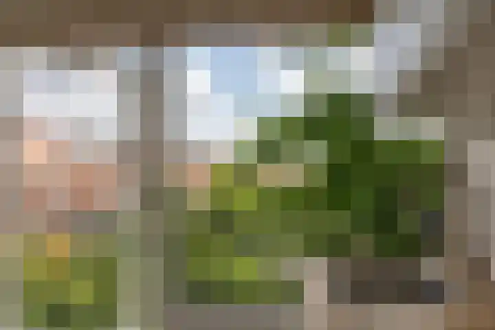 Oude Loosdrechtseweg 99 Hilversum thumbnail 10