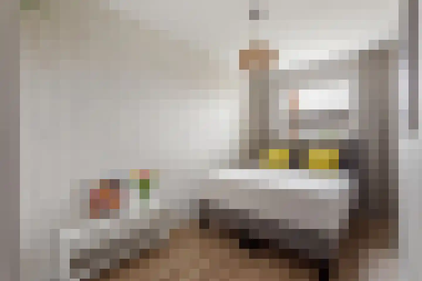 Oude Lossersestraat 110 Oldenzaal thumbnail 14