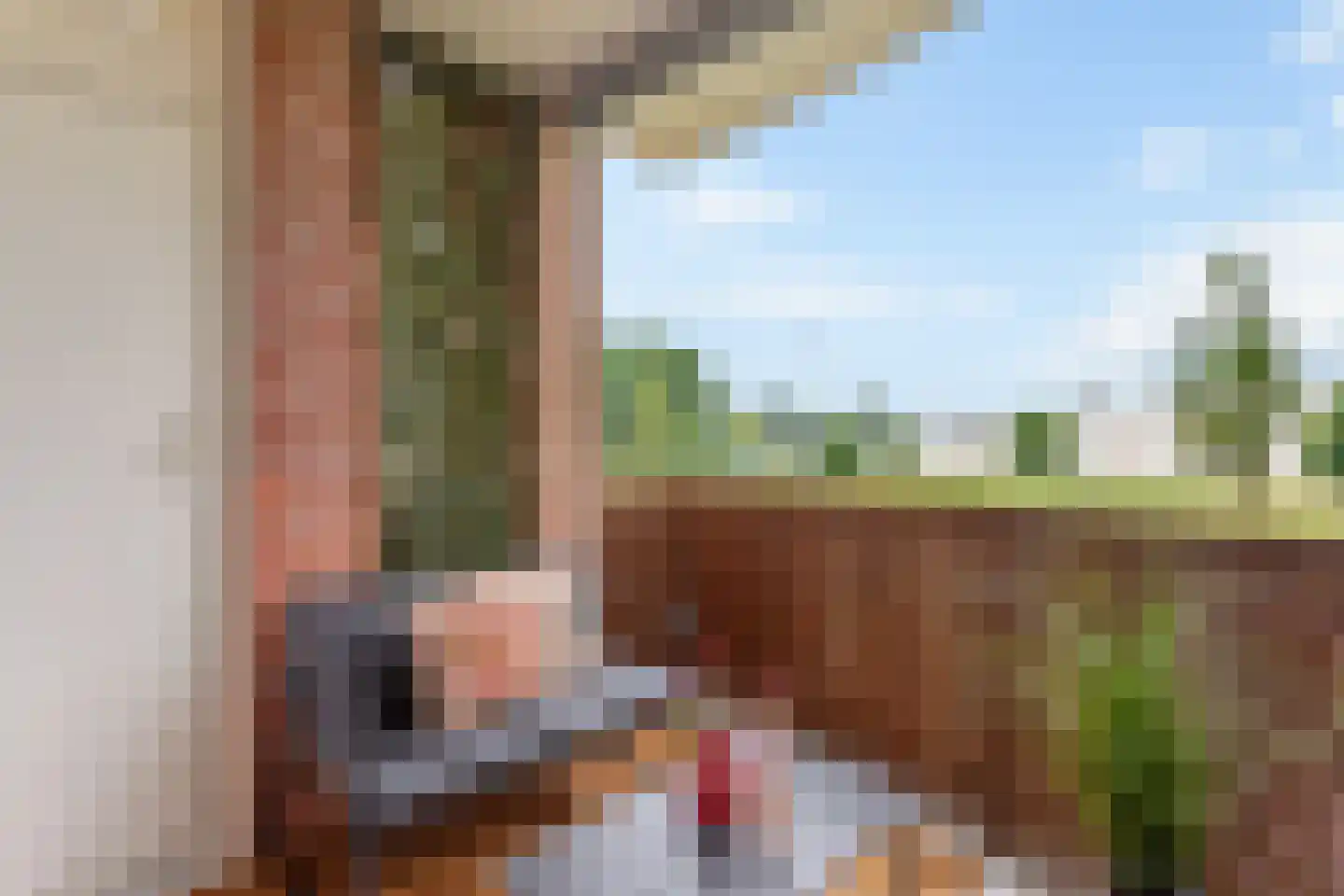 Oude Lossersestraat 110 Oldenzaal thumbnail 4