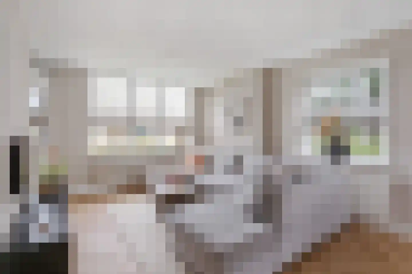 Oude Lossersestraat 110 Oldenzaal thumbnail 7