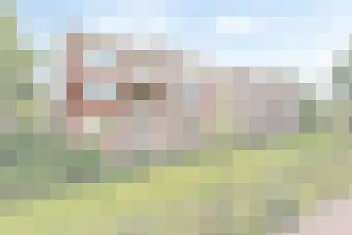 Oude Lossersestraat 112 Oldenzaal thumbnail 17