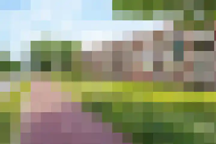 Oude Lossersestraat 112 Oldenzaal thumbnail 20