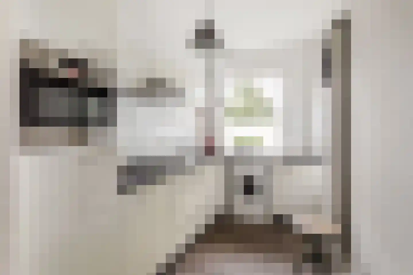 Oude Lossersestraat 134 Oldenzaal thumbnail 11