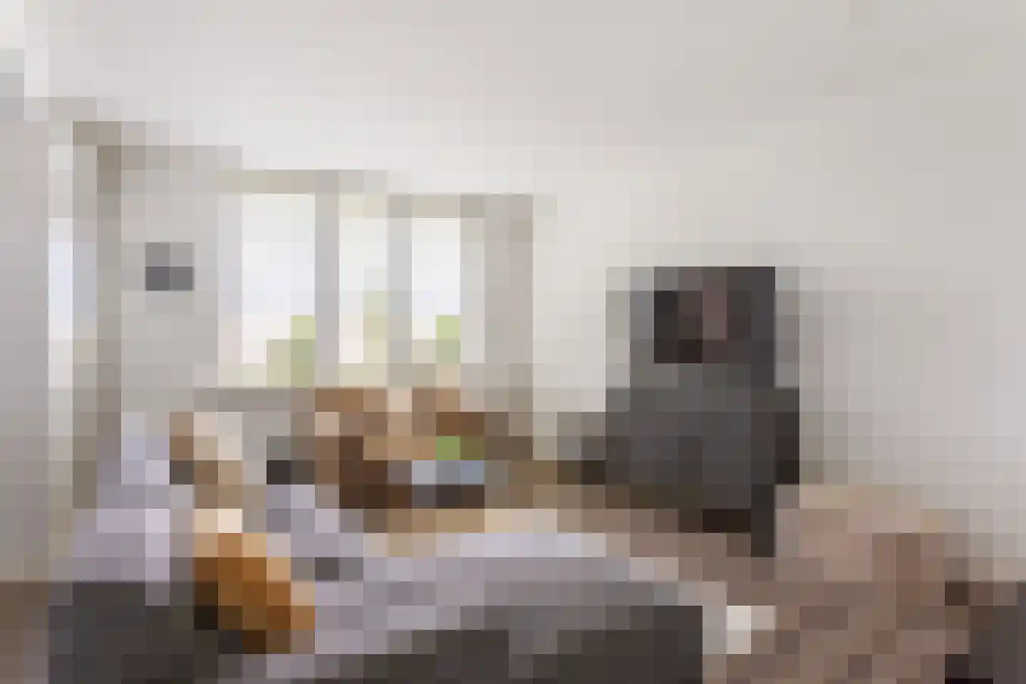 Oude Lossersestraat 134 Oldenzaal thumbnail 8