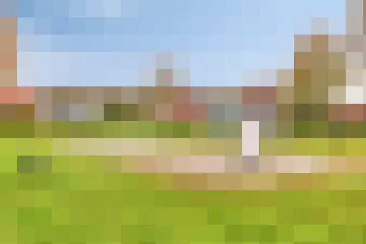 Oude Lossersestraat 142 Oldenzaal thumbnail 22