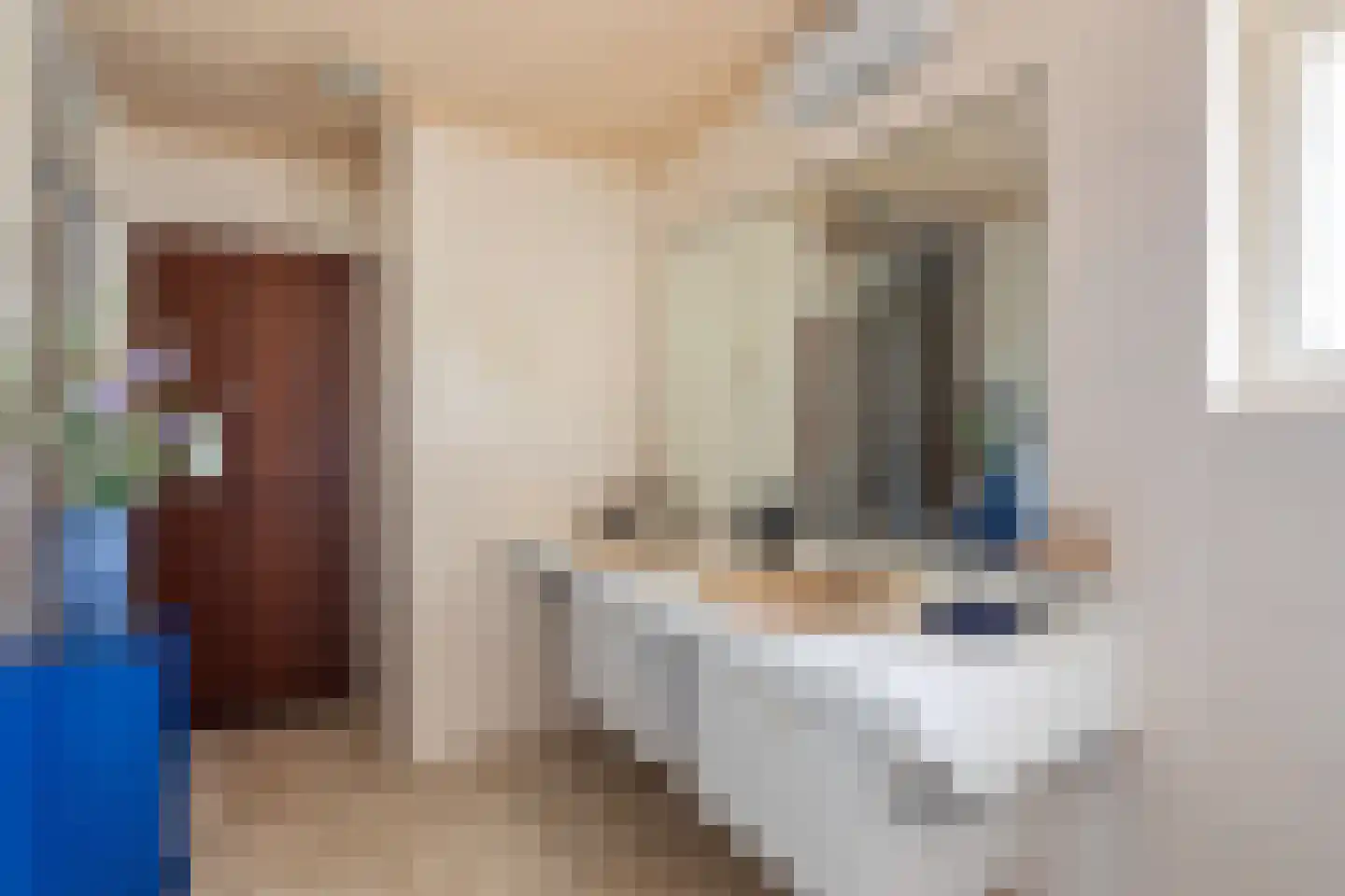 Oude Lossersestraat 29 Oldenzaal thumbnail 21