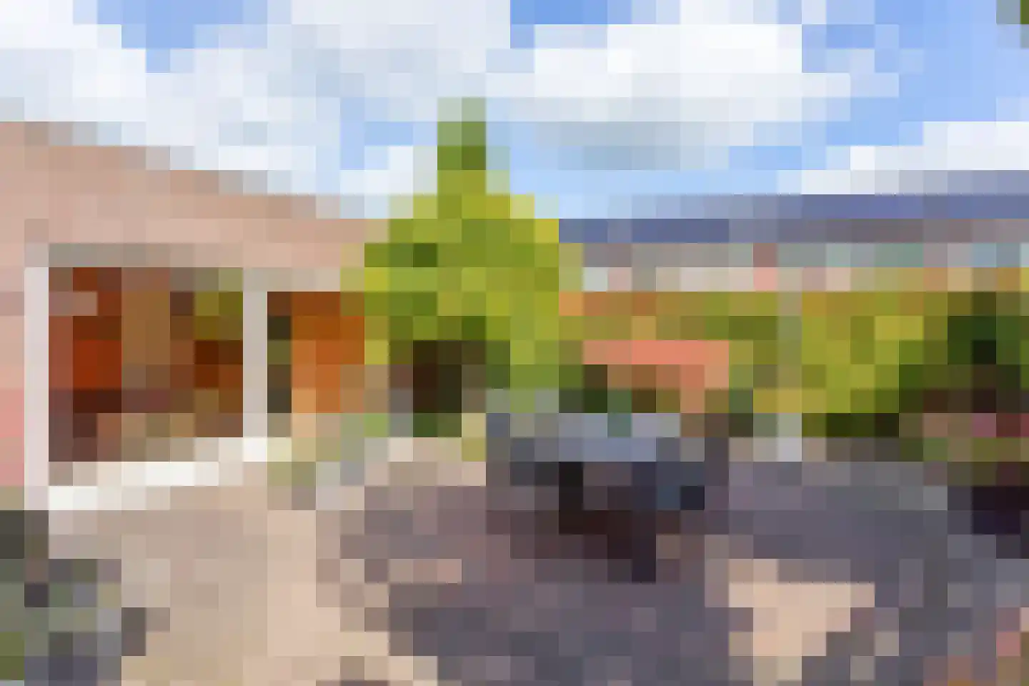 Oude Lossersestraat 29 Oldenzaal thumbnail 8