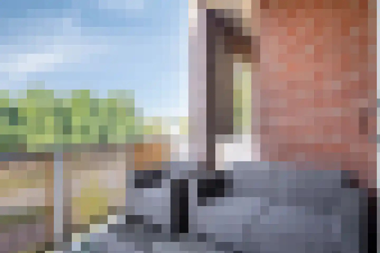 Oude Lossersestraat 36 Oldenzaal thumbnail 14