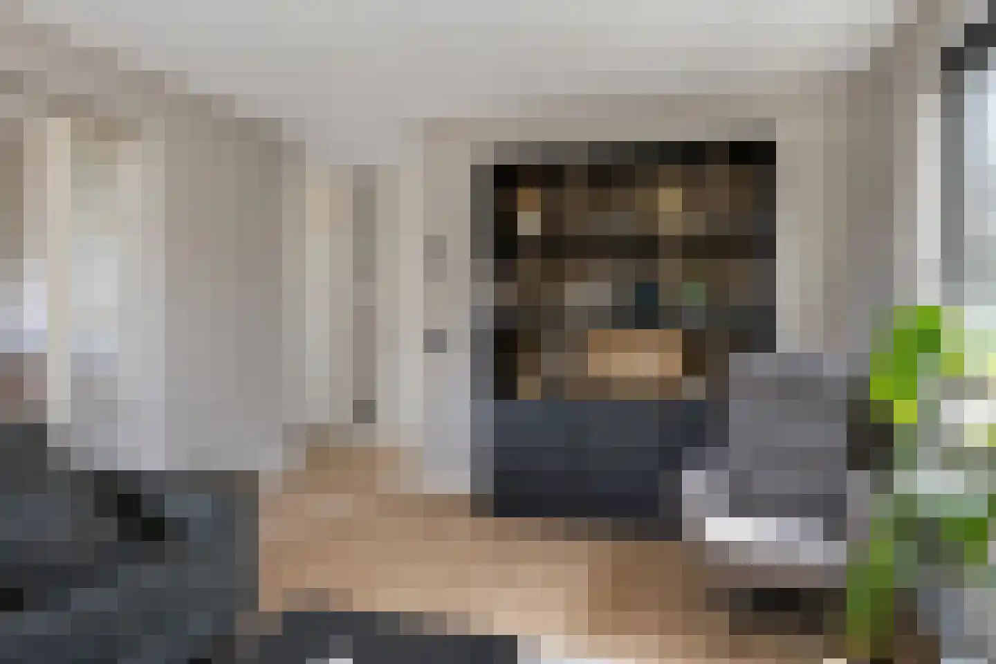 Oude Lossersestraat 36 Oldenzaal thumbnail 8