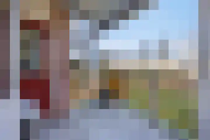 Oude Lossersestraat 38 Oldenzaal thumbnail 10