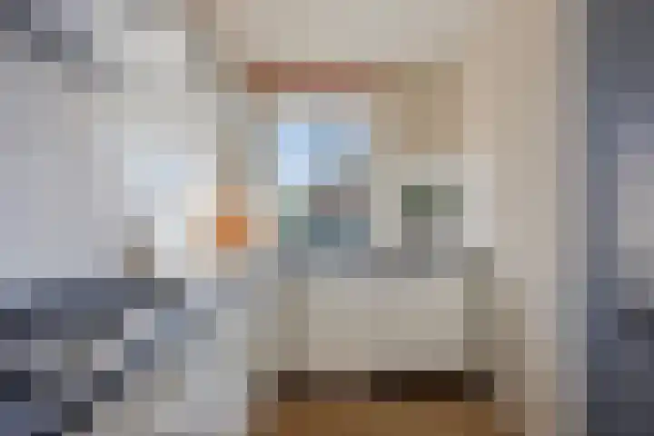 Oude Lossersestraat 38 Oldenzaal thumbnail 13