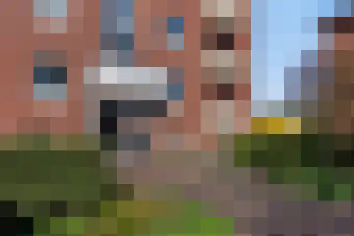 Oude Lossersestraat 38 Oldenzaal thumbnail 24