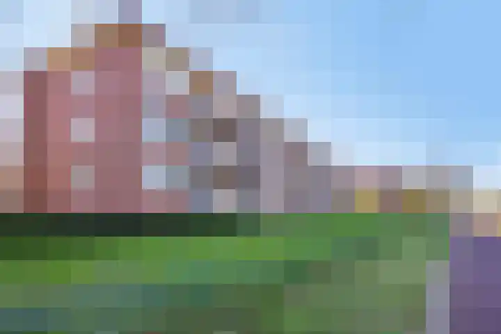 Oude Lossersestraat 38 Oldenzaal thumbnail 26