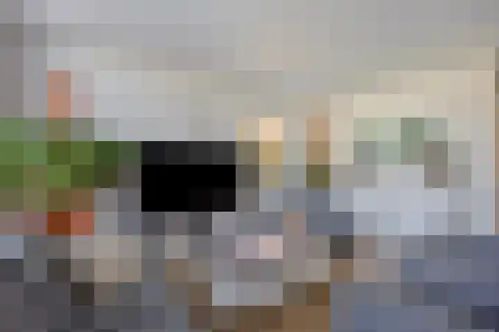 Oude Lossersestraat 38 Oldenzaal thumbnail 6