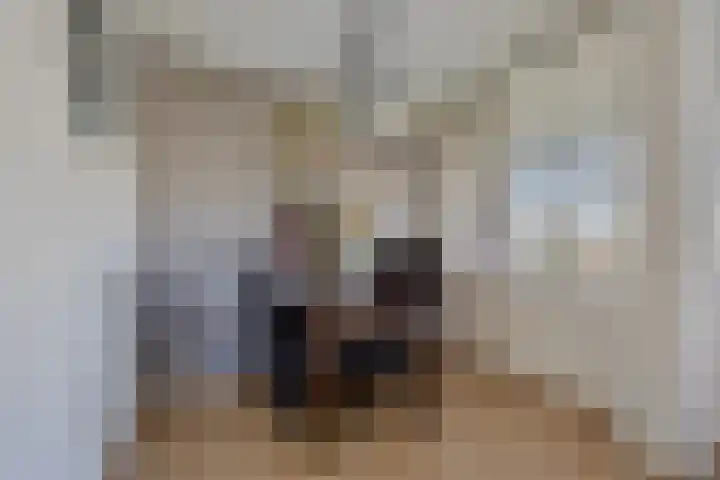 Oude Lossersestraat 38 Oldenzaal thumbnail 8