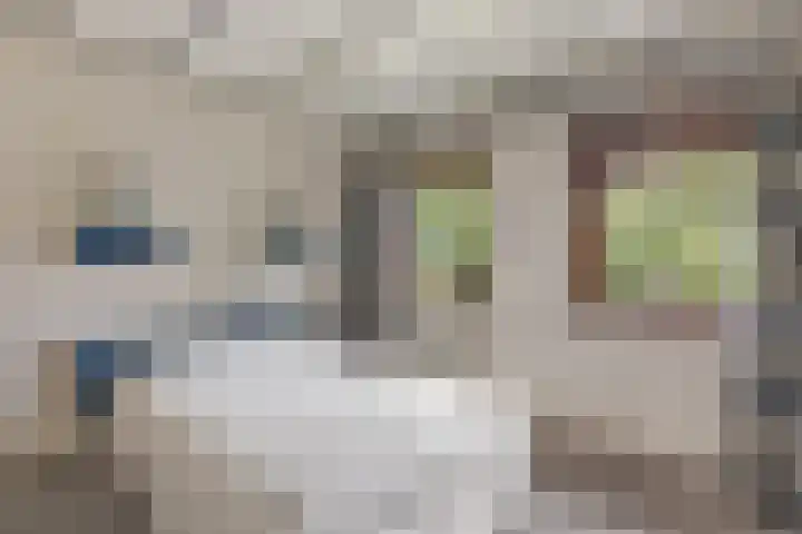 Oude Lossersestraat 39 Oldenzaal thumbnail 16