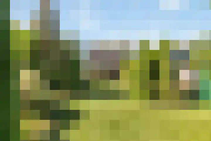 Oude Lossersestraat 39 Oldenzaal thumbnail 21