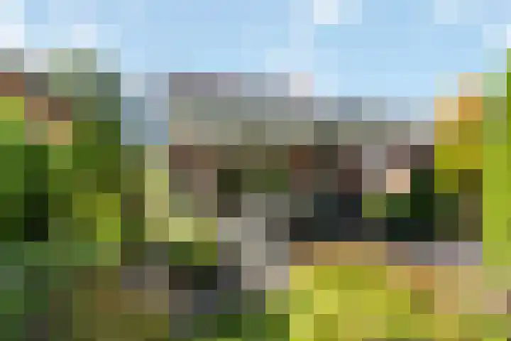 Oude Lossersestraat 39 Oldenzaal thumbnail 22