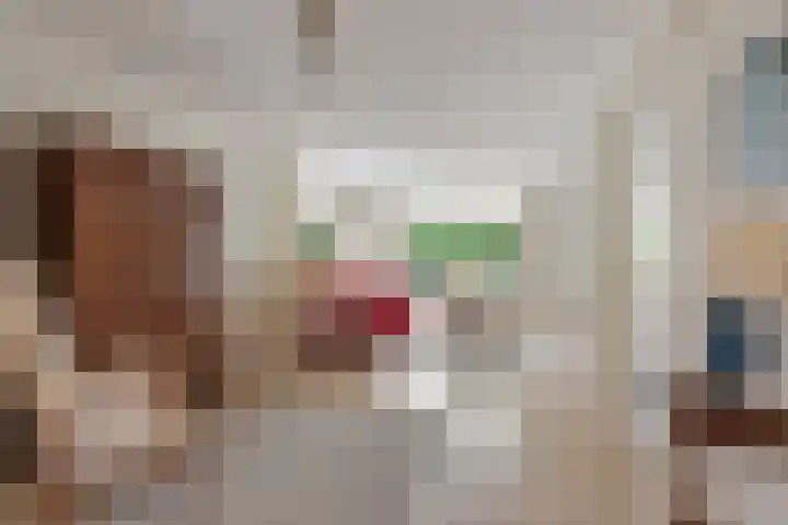 Oude Lossersestraat 39 Oldenzaal thumbnail 5