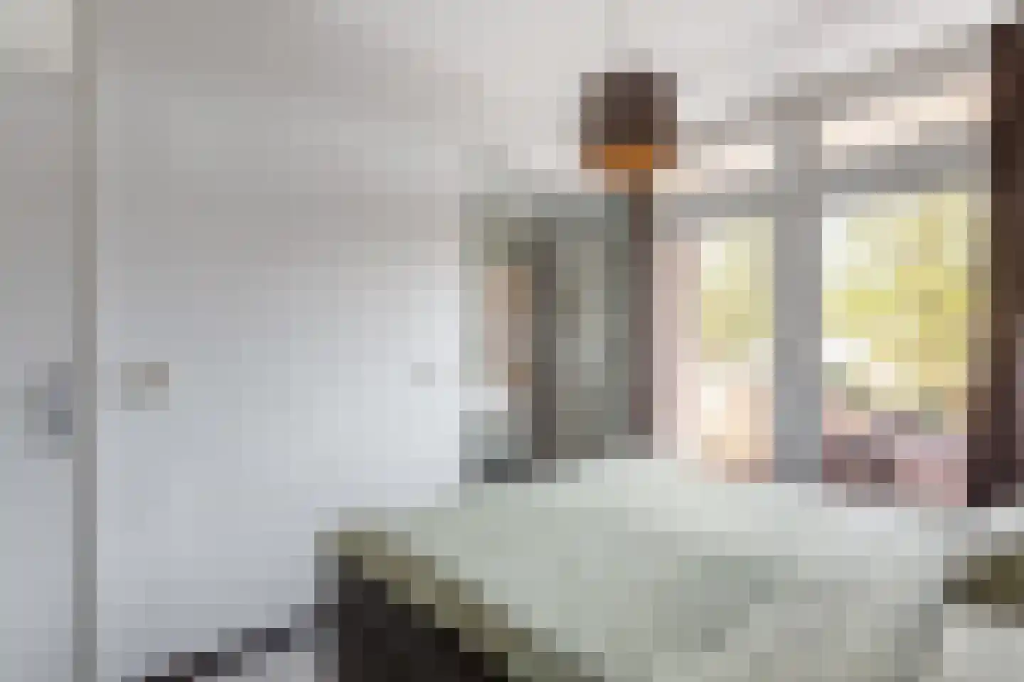 Oude Lossersestraat 58 Oldenzaal thumbnail 10