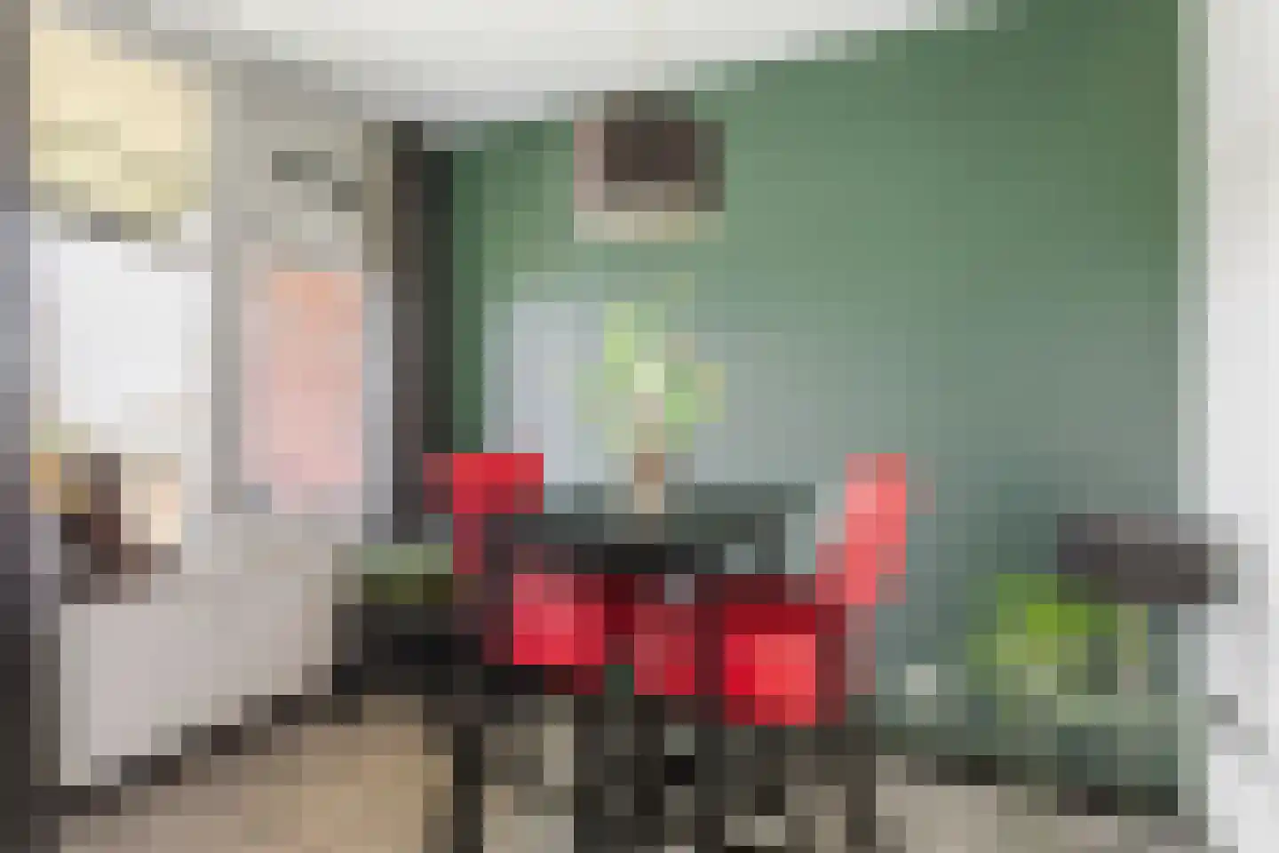 Oude Lossersestraat 58 Oldenzaal thumbnail 4