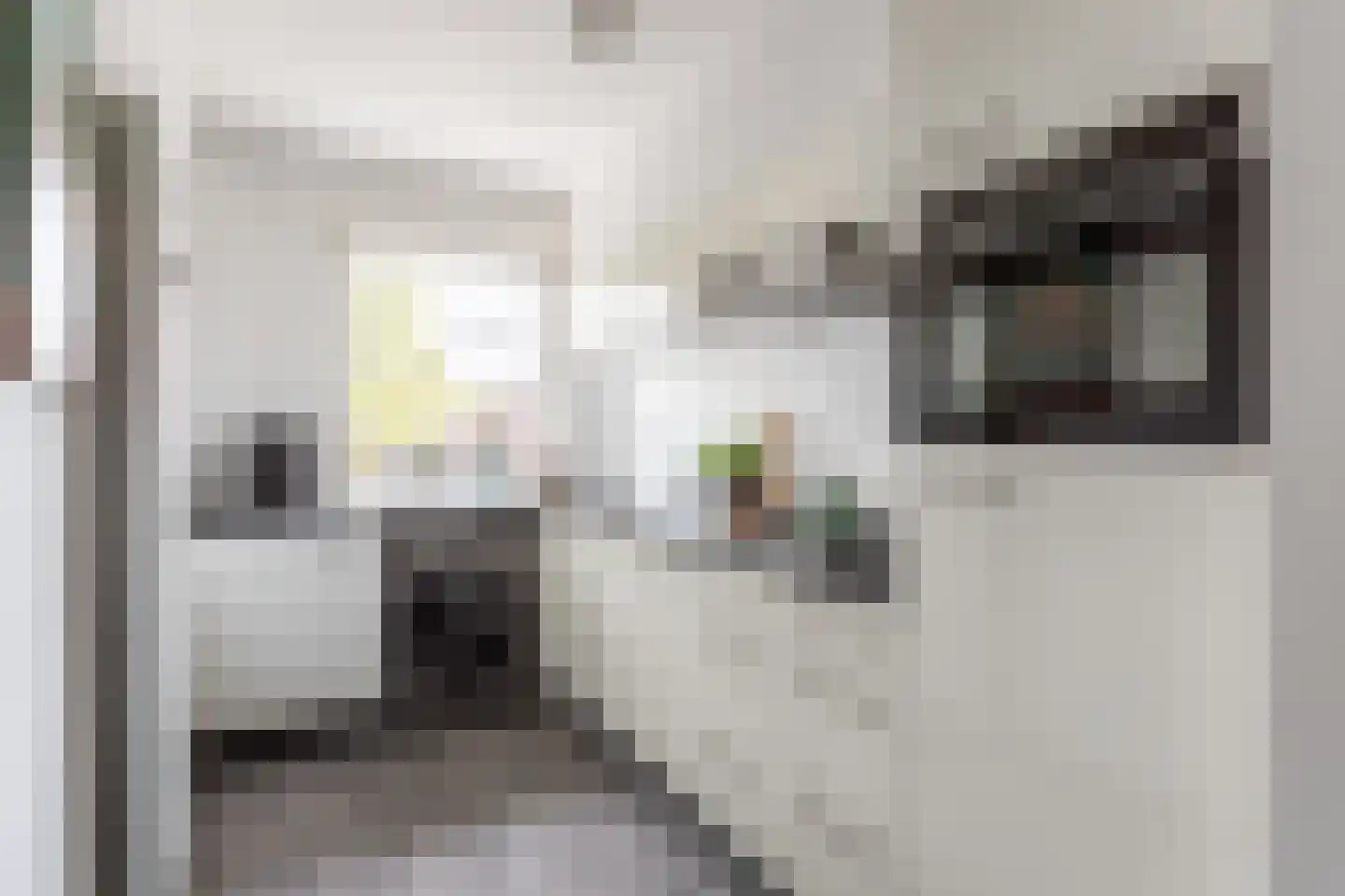 Oude Lossersestraat 58 Oldenzaal thumbnail 7