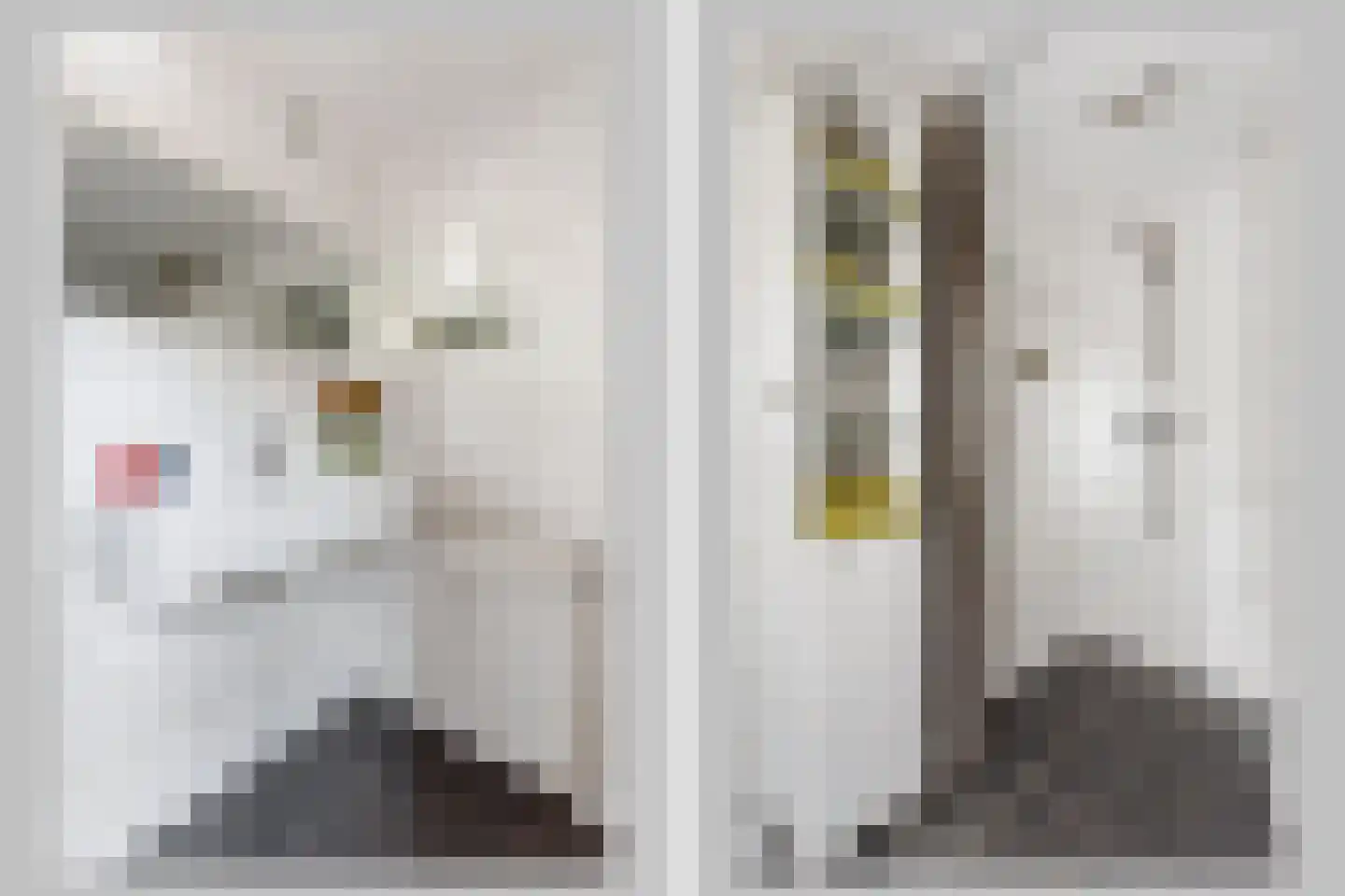 Oude Lossersestraat 58 Oldenzaal thumbnail 8