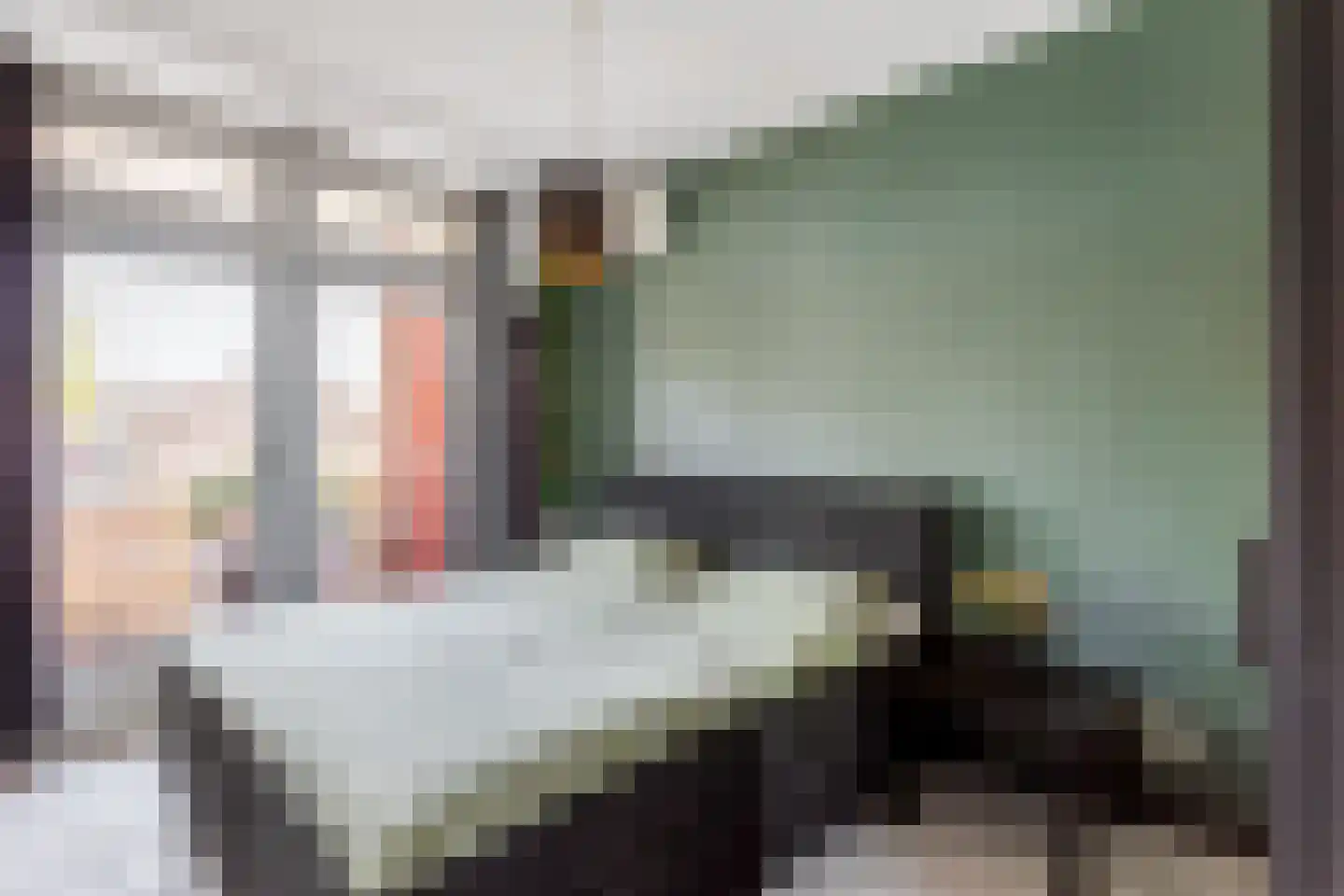 Oude Lossersestraat 58 Oldenzaal thumbnail 9