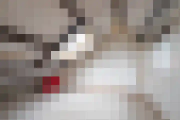 Oude Maar 14 Kerkrade thumbnail 16