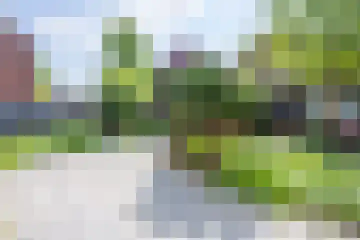Oude Maar 14 Kerkrade thumbnail 19