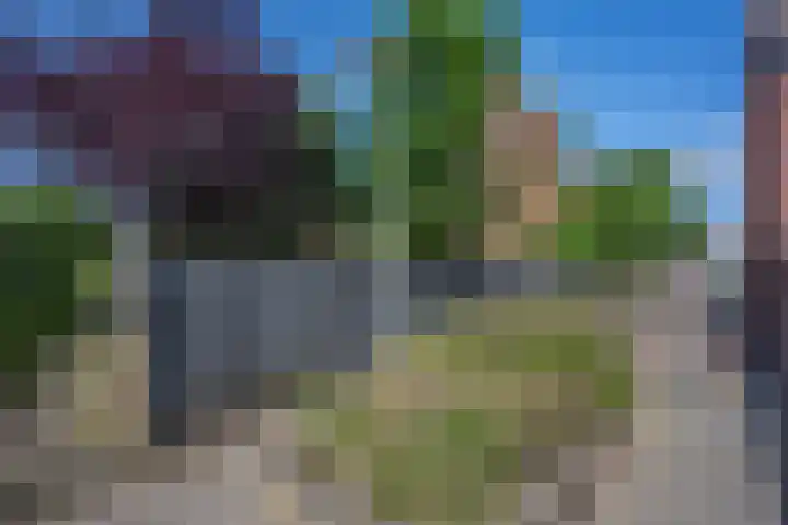 Oude Maar 14 Kerkrade thumbnail 22