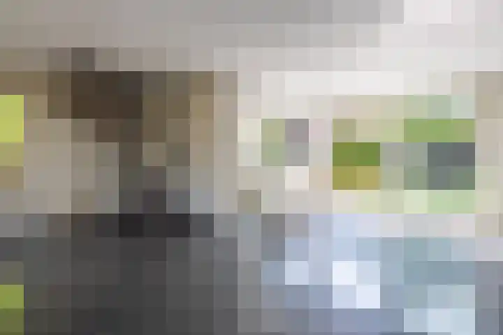 Oude Maar 14 Kerkrade thumbnail 5