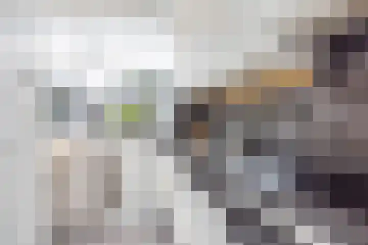 Oude Maar 17 Kerkrade thumbnail 13