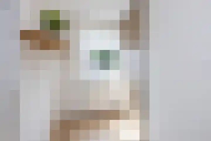 Oude Maar 17 Kerkrade thumbnail 16