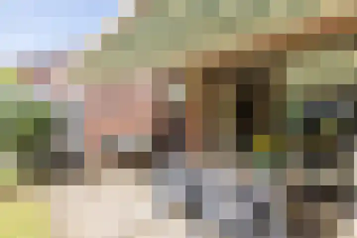 Oude Maar 17 Kerkrade thumbnail 29
